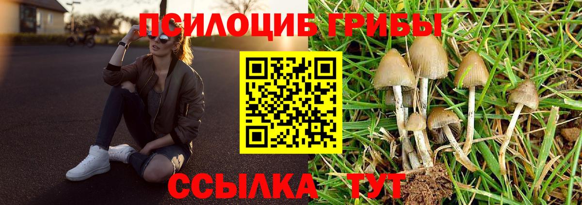 Псилоцибиновые грибы мухоморы Уварово